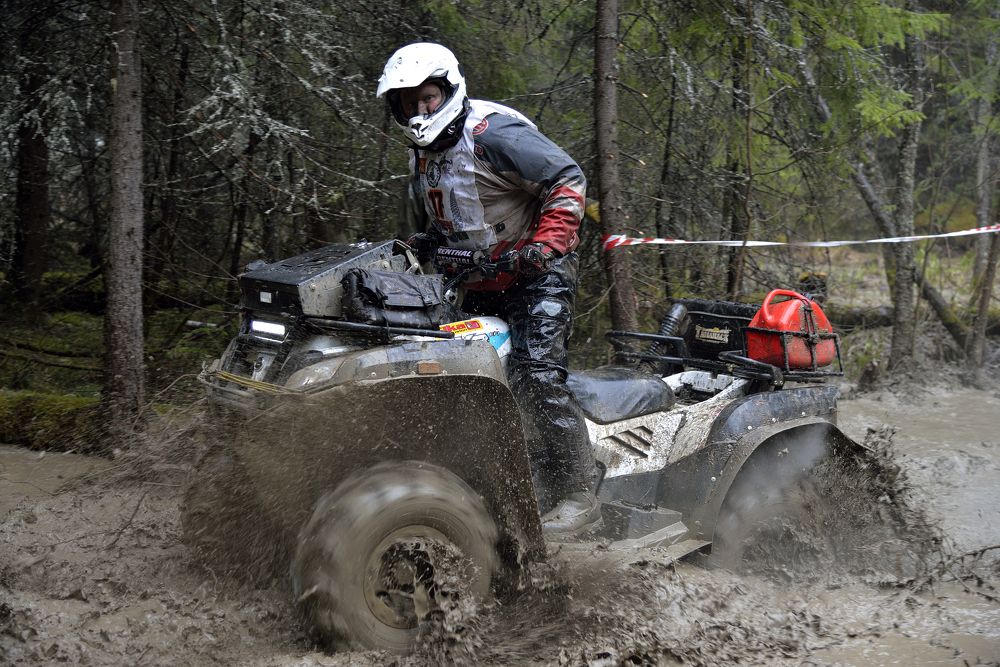 Фотография автора Сергей Чесноков