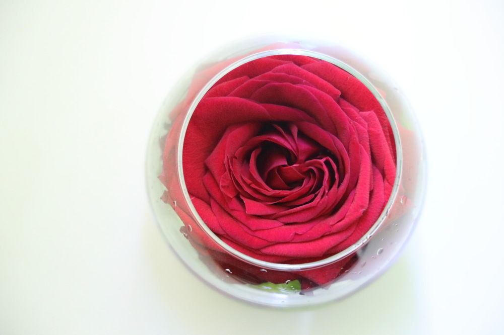 Photograph by Dmitriy Marchenko