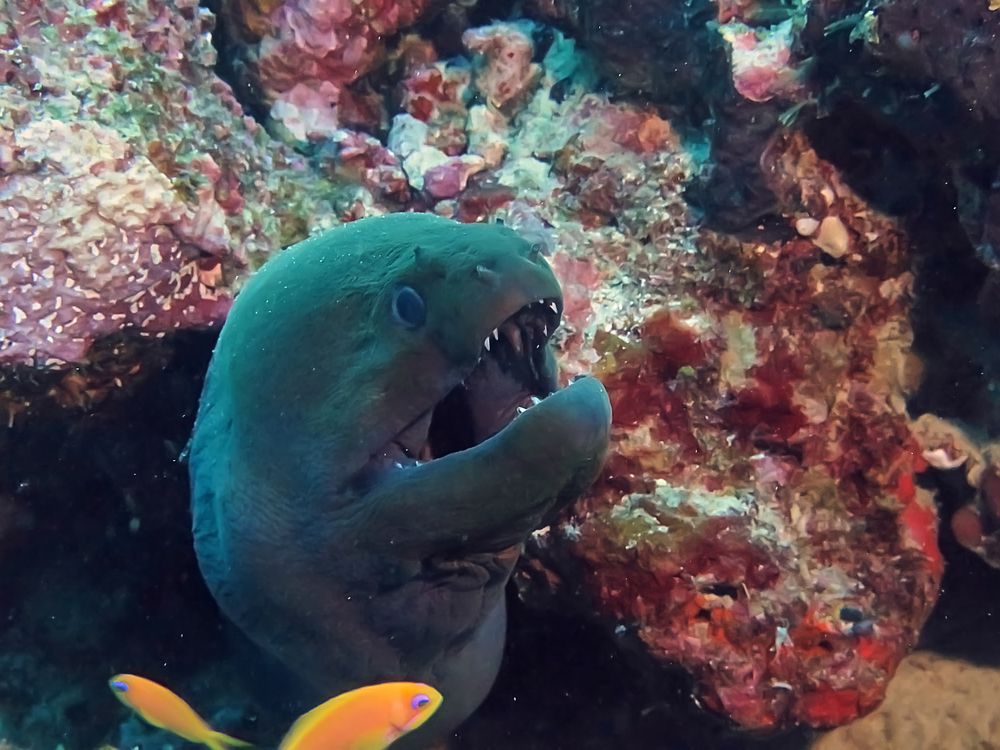 А? Интервью? Какое интервью?