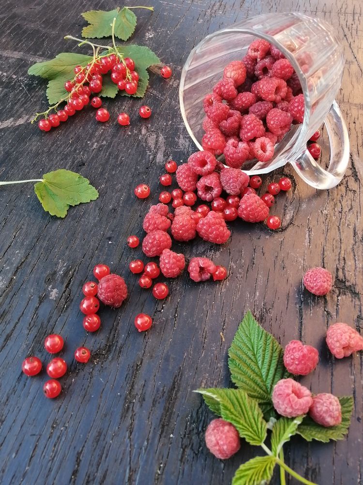 Photograph by Дарья Савиных