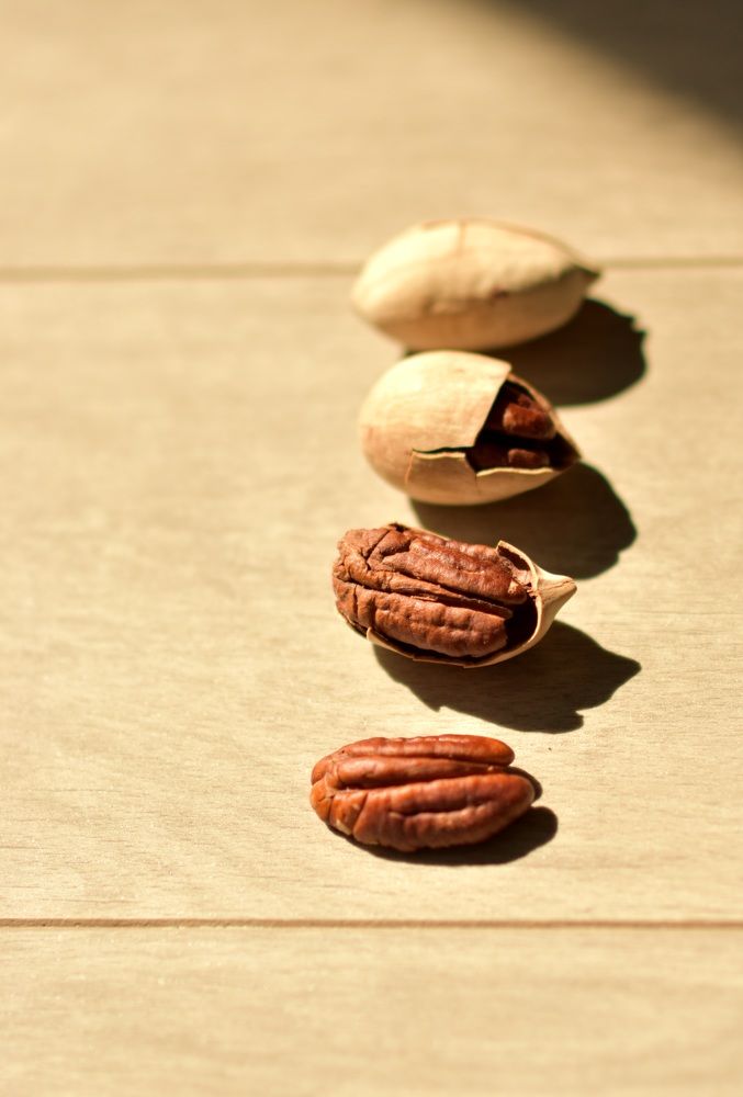 Photograph by Ксения Соколова