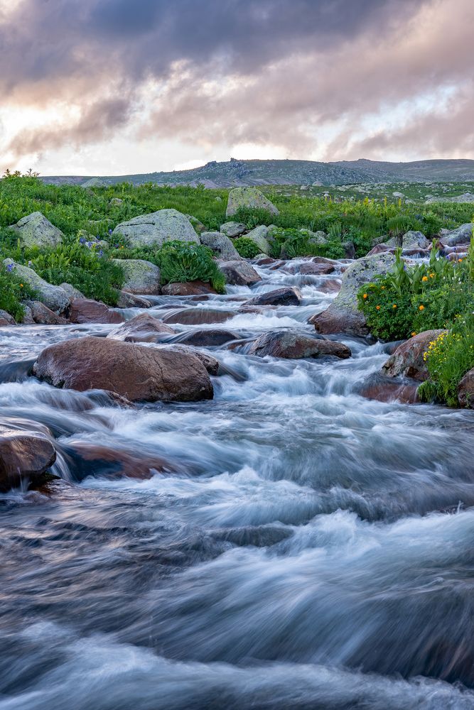 Фотография автора Алексей Торлопов