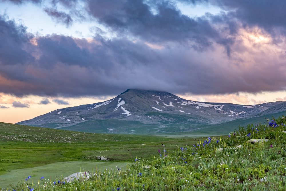 Photograph by Алексей Торлопов