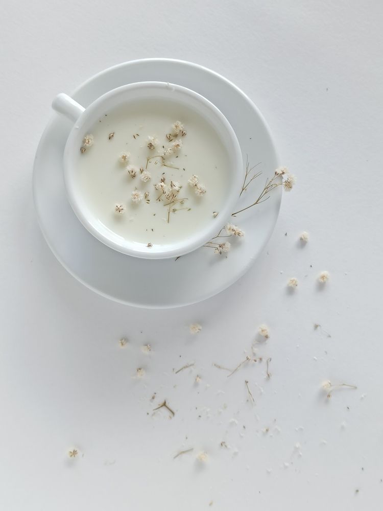 Фотография автора Татьяна Ротько