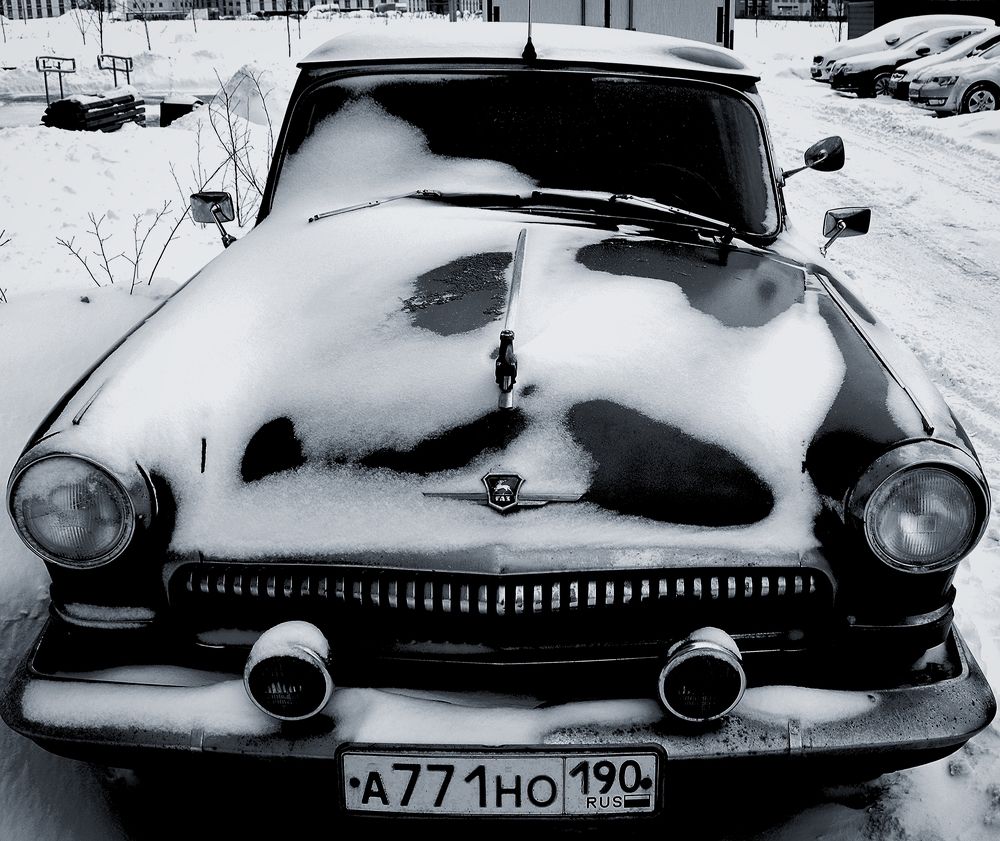 Photograph by Александр Лабутин