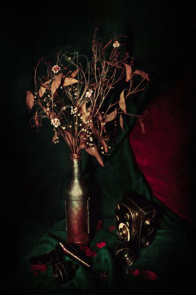 Photograph by Кристина Огранович