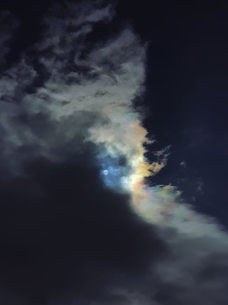 Photograph by Анастасия Немова