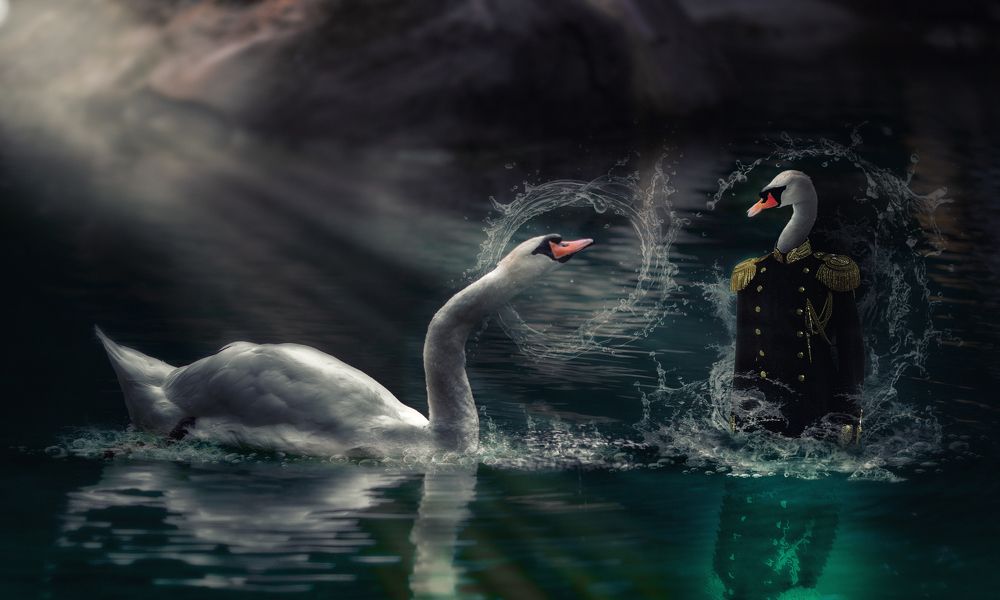 Photograph by Виктор Холодов