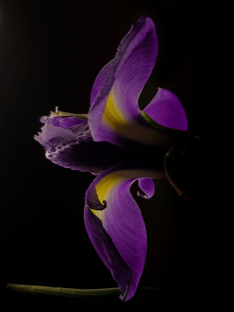 Photograph by Анастасия Немова