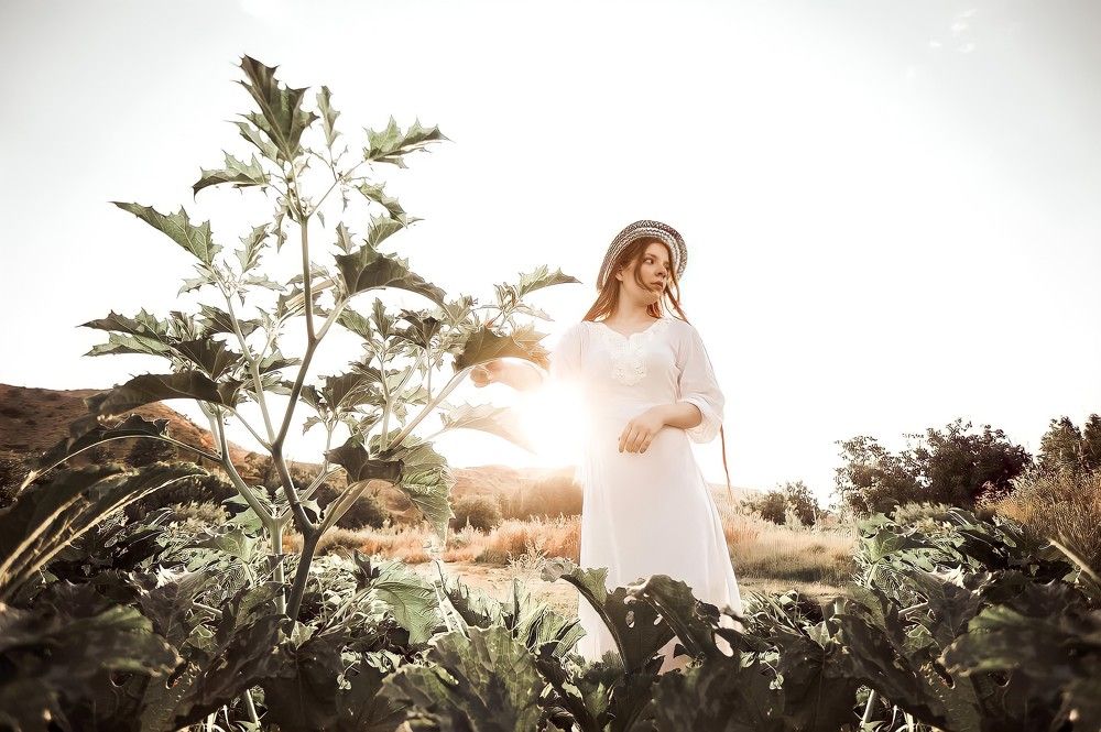 Photograph by Abolfazl Kazemi