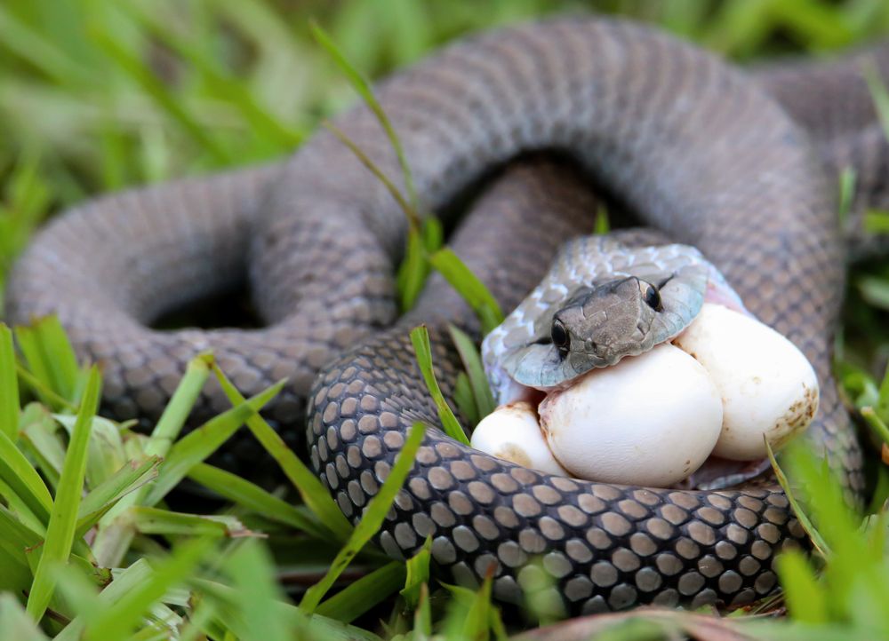 Photograph by Frank cobo blanco