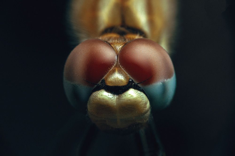 Photograph by Сергей Селивестров