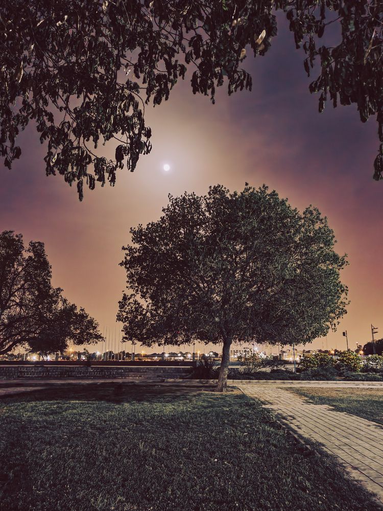 Photograph by amin roshan afshar