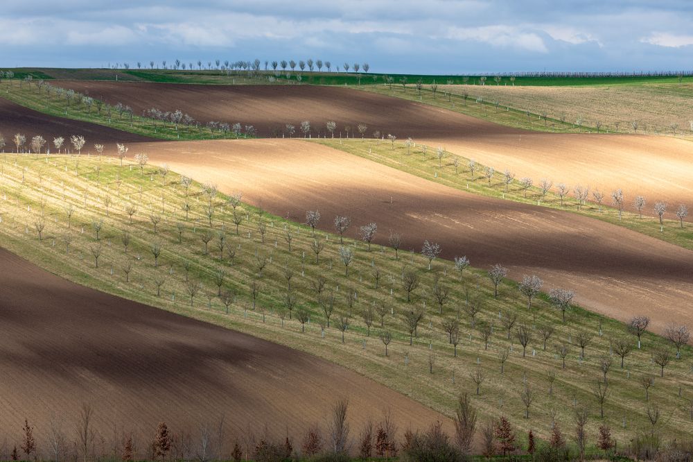 Photograph by Евгения Чех