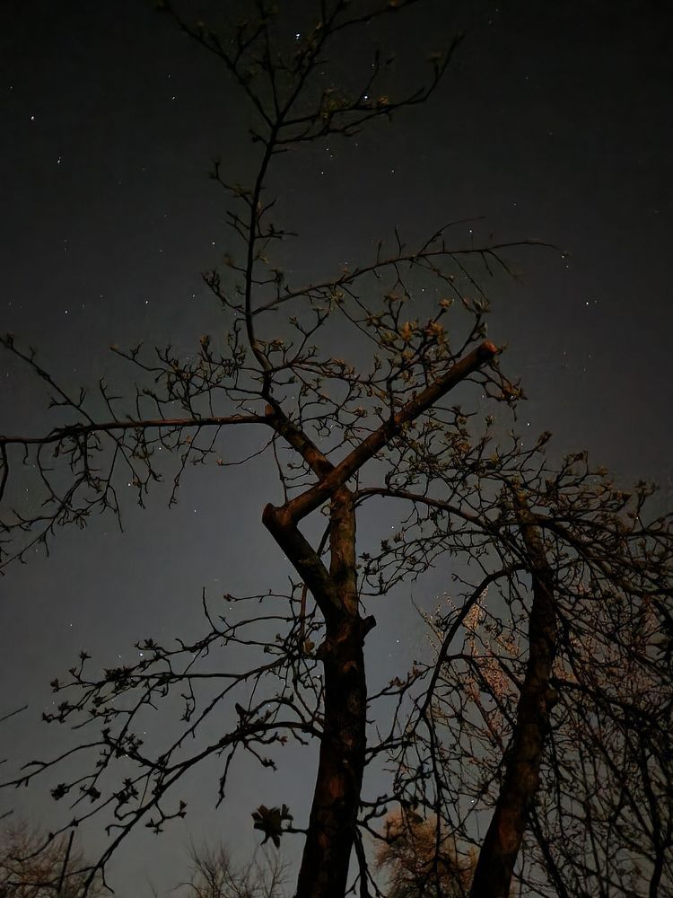 Photograph by Усевалад Куліш