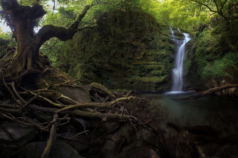 Photograph by Miguel Iglesias