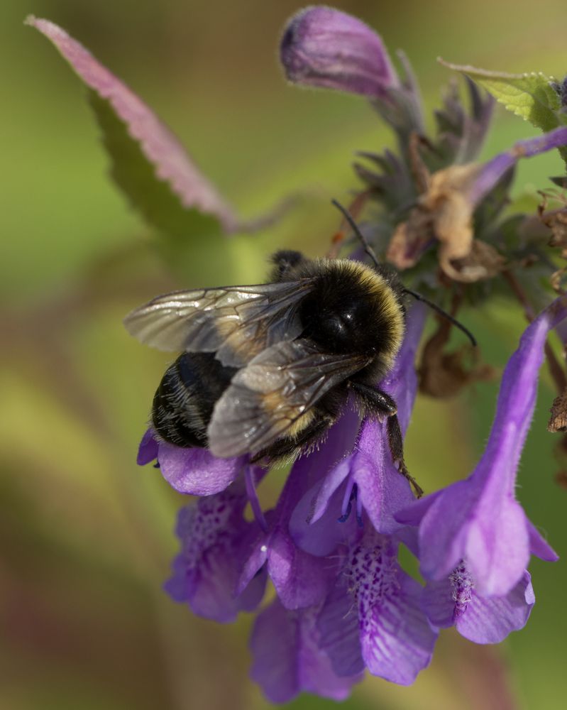 Photograph by Ирина Серегина