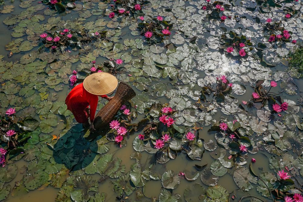 Photograph by santoso budoyo