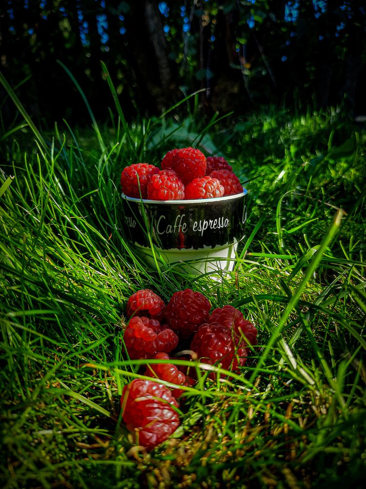 Photograph by Ольга