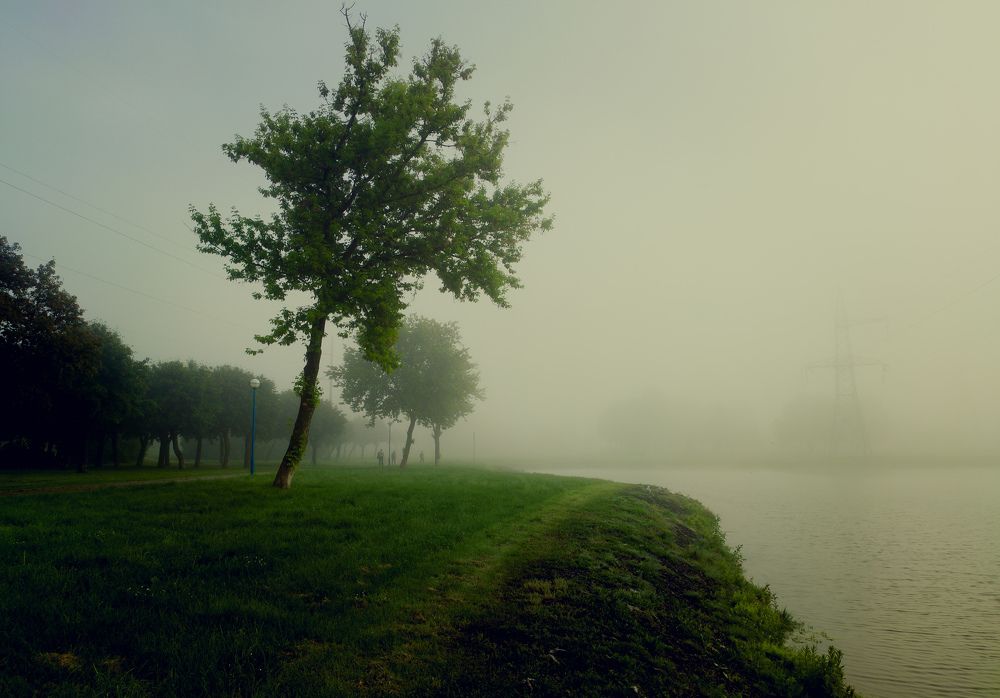 Photograph by Виталий Снегин