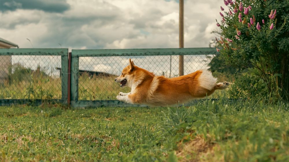 Photograph by Oleg Gerasimov