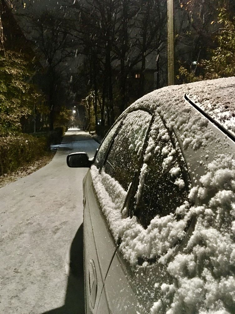 Photograph by Елена Ким