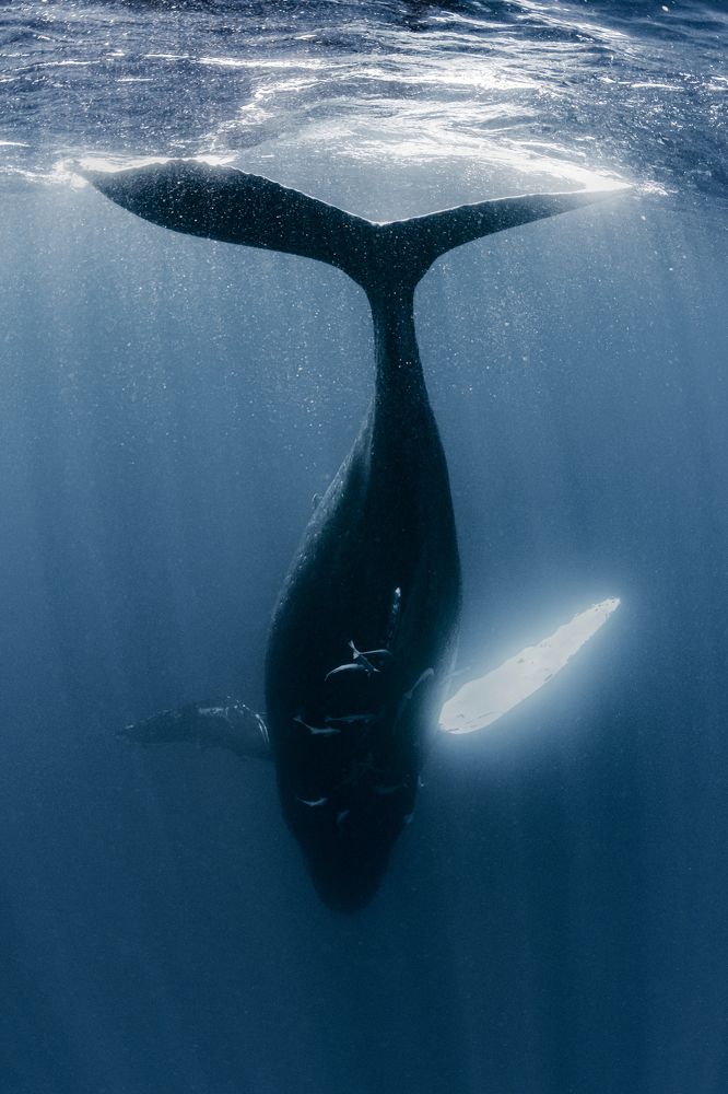 Photograph by KURASHIMA DAISUKE