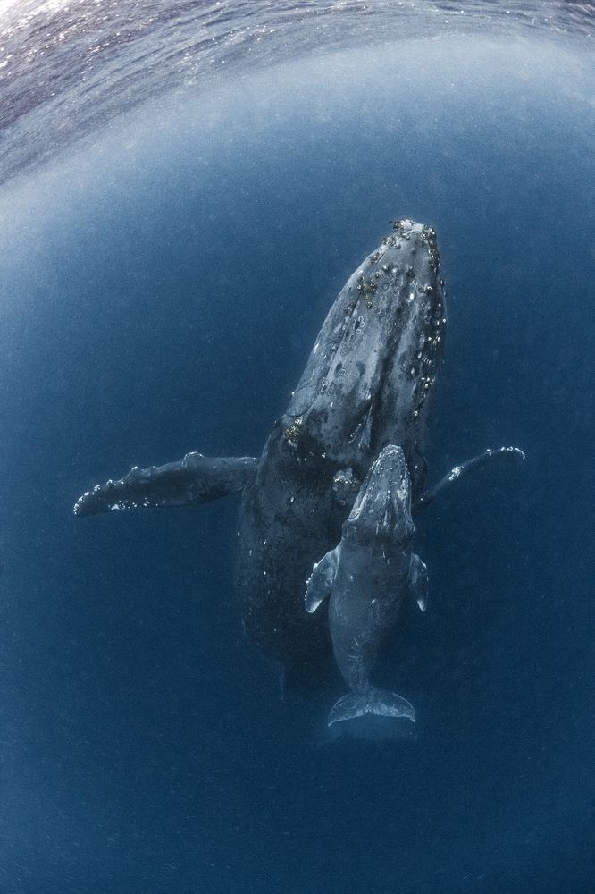 Photograph by KURASHIMA DAISUKE