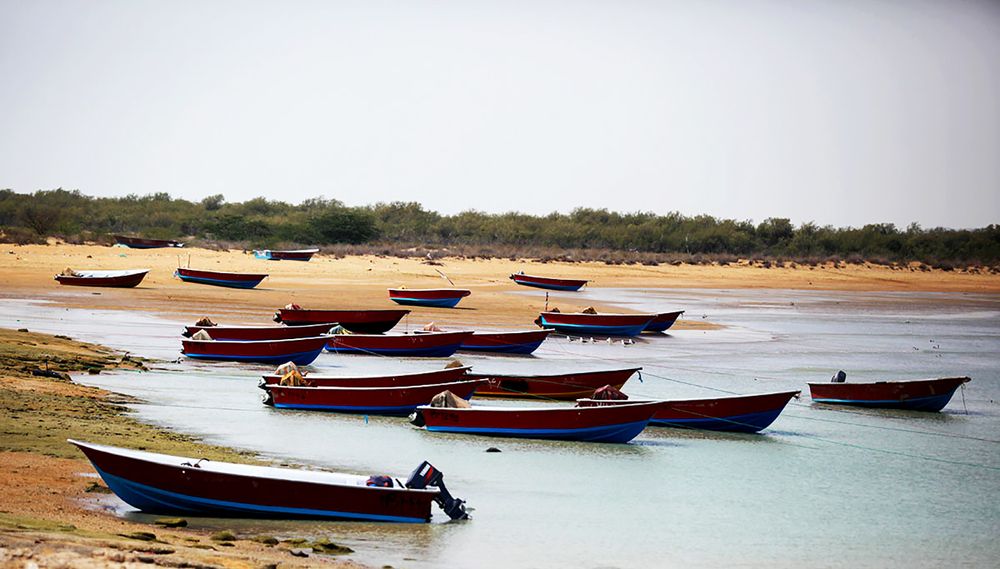 Photograph by mehdi karimi souderjani