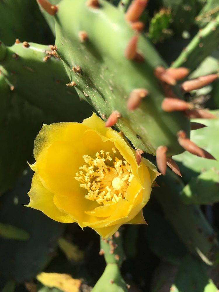 Photograph by Оксана Сербиненко