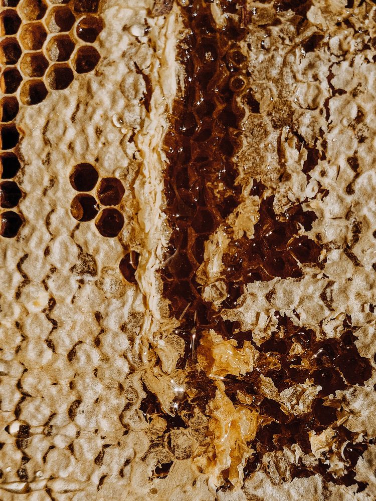 Photograph by Зульфия Вакилова