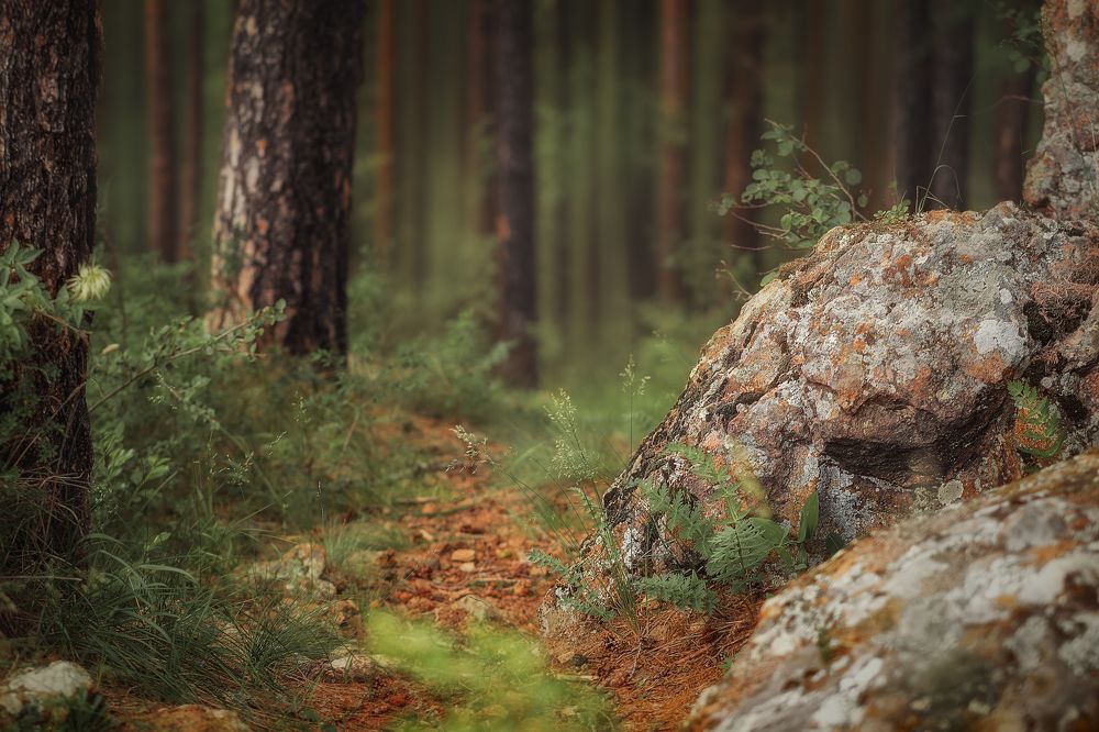 Photograph by Ivan Sazykin