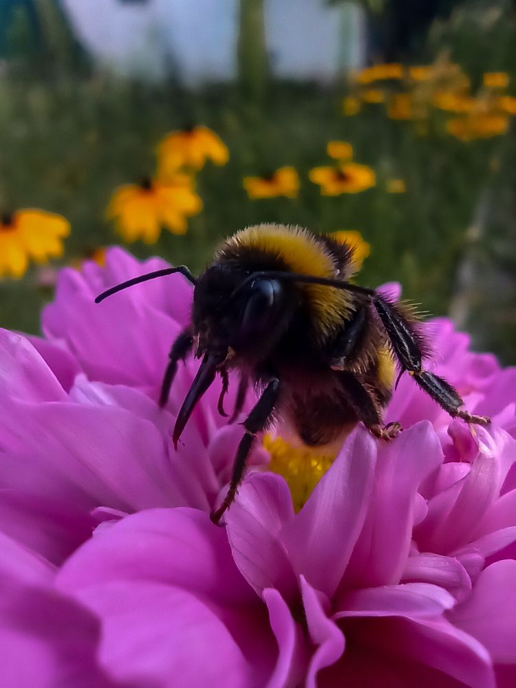 Photograph by Ирина Дегтярева