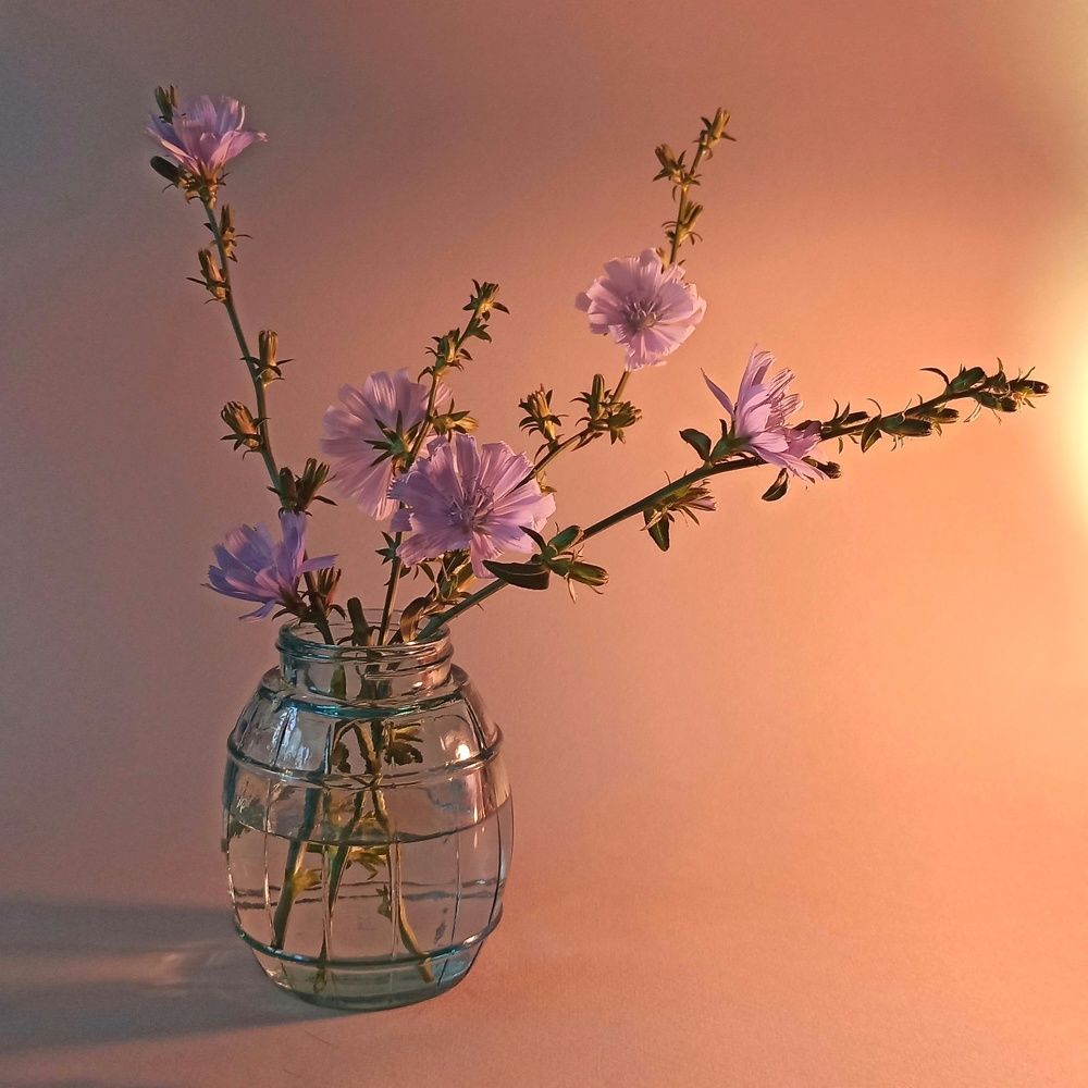 Photograph by Наталия Степанова