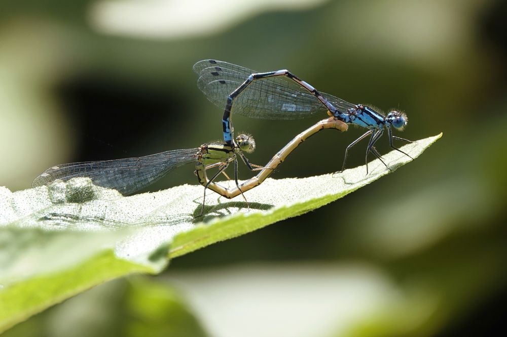 Photograph by Андрей Щербинин