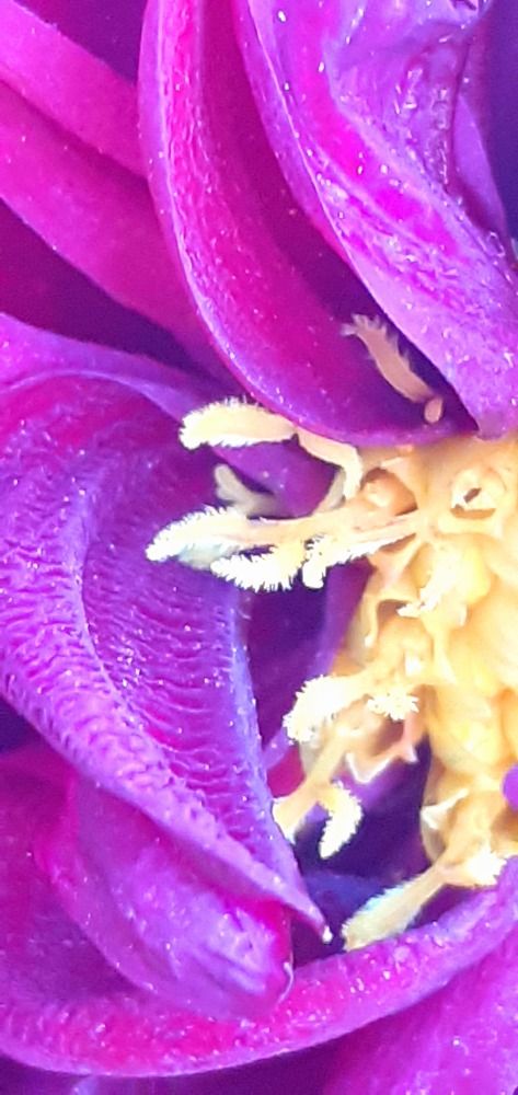 Photograph by Евгения Ульянова