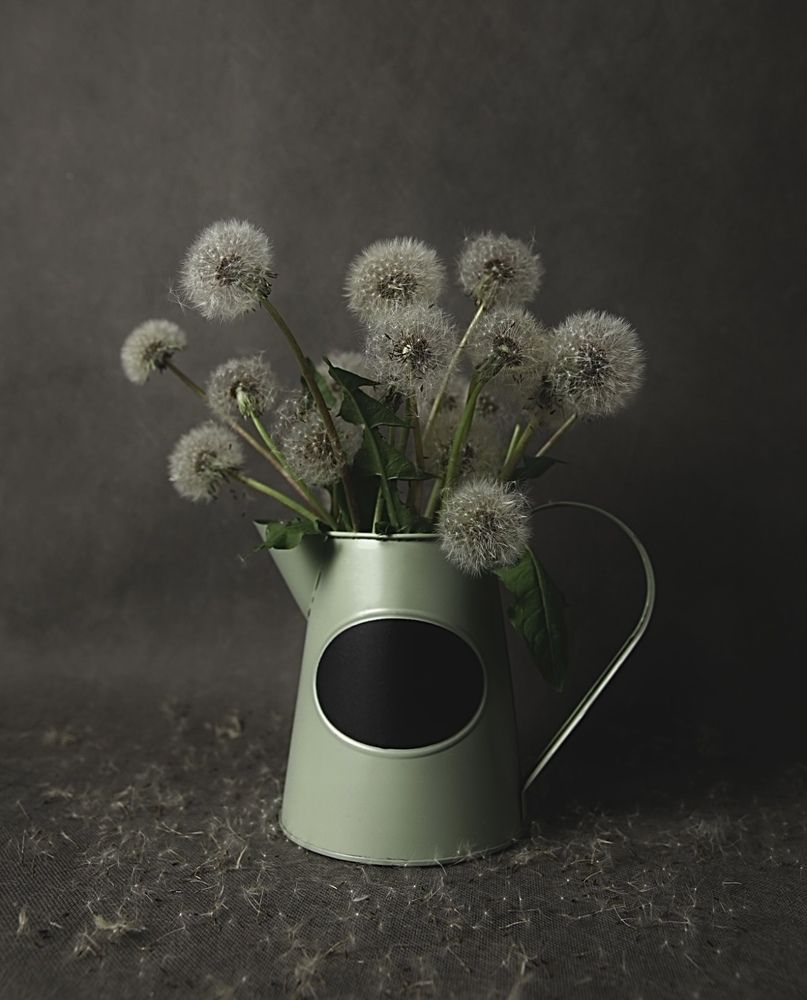 Photograph by Ирина Кочеткова