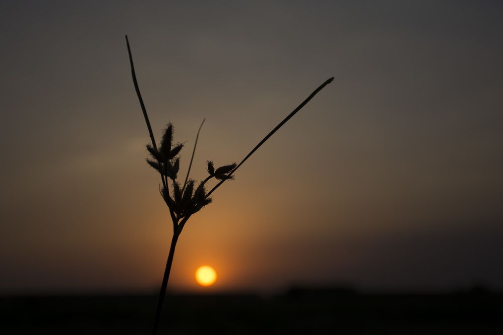 Photograph by Hossein Jafari