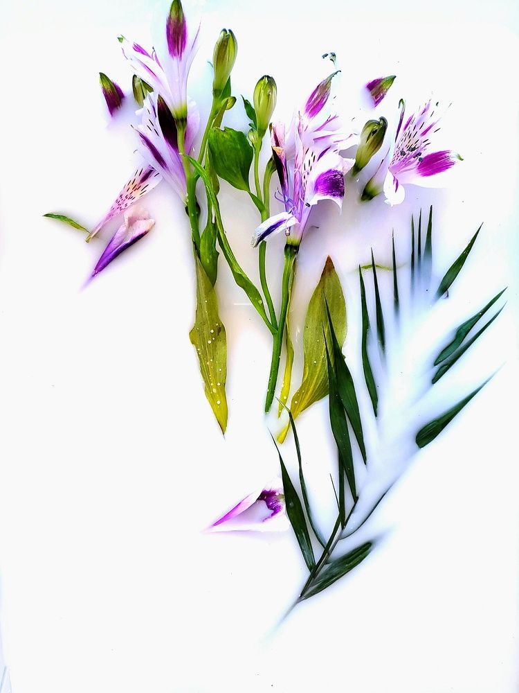 Photograph by Ирина Панкова