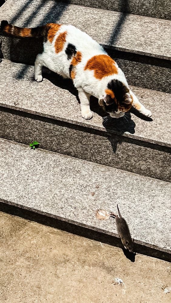 Photograph by Dmitry Sergeychev