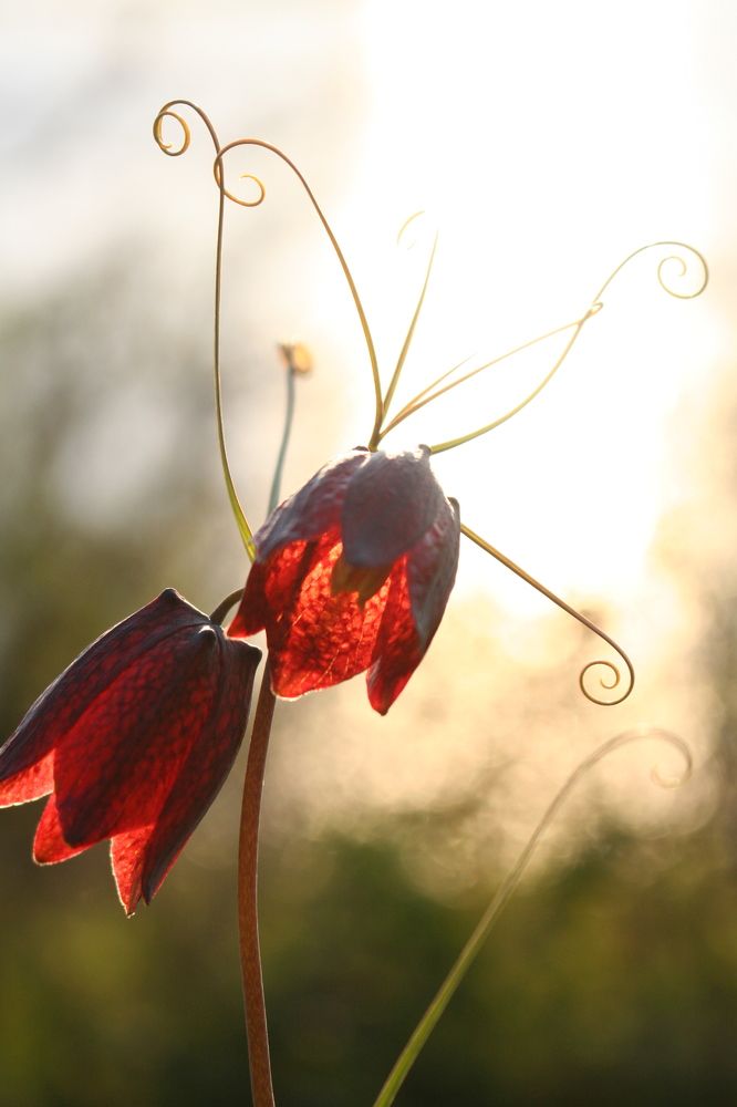 Фотография автора Татьяна Шебаршенко