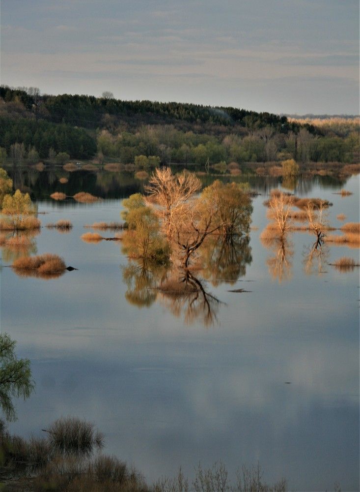 Фотография автора Татьяна Шебаршенко