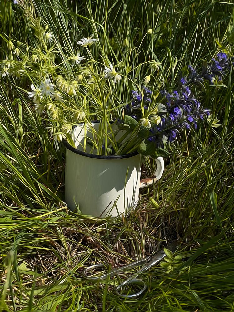 Photograph by Елена Башмакова