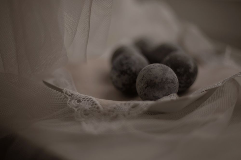 Фотография автора Мария Щеголькова