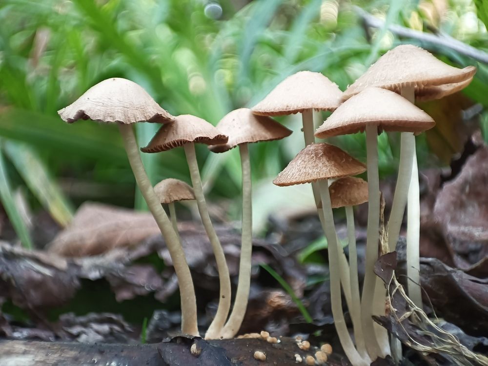 Фотография автора Emamian