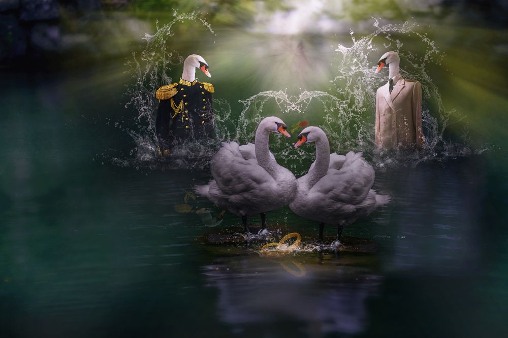 Photograph by Виктор Холодов