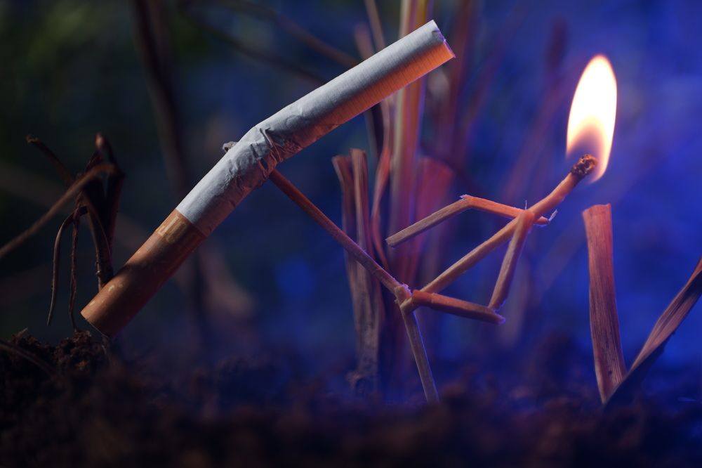 Фотография автора R. Zai