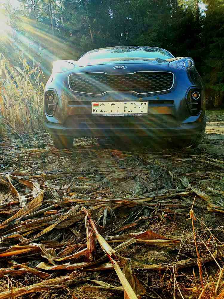 Фотография автора Мария Рудаковская