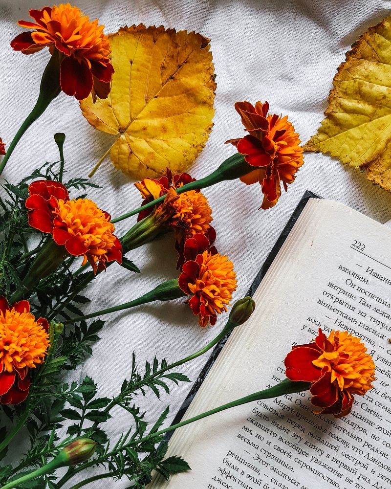 Photograph by Екатерина Мурсынина