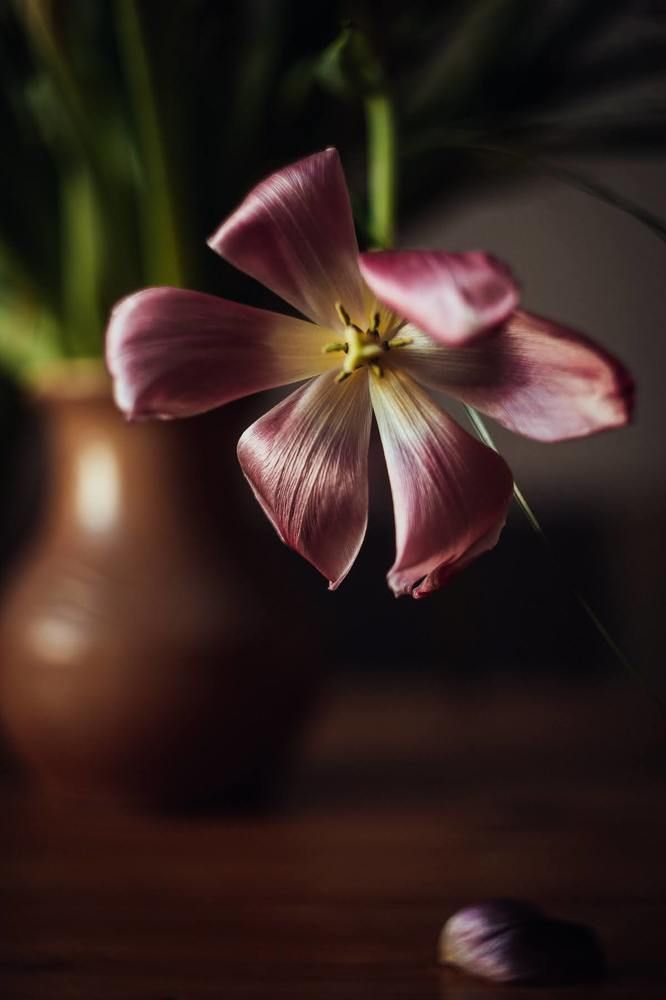 Photograph by Юлия Ефимова